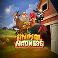 RTP Live Animal Madness Play N Go