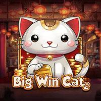 RTP Live Big Win Cat Play N Go
