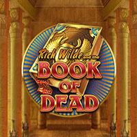 RTP Live Book of Dead Play N Go